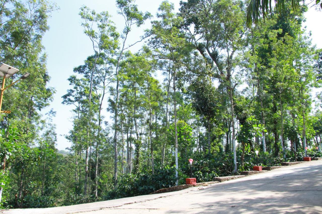 Kingmaker'S Plantation With River Stream 马迪凯里 外观 照片