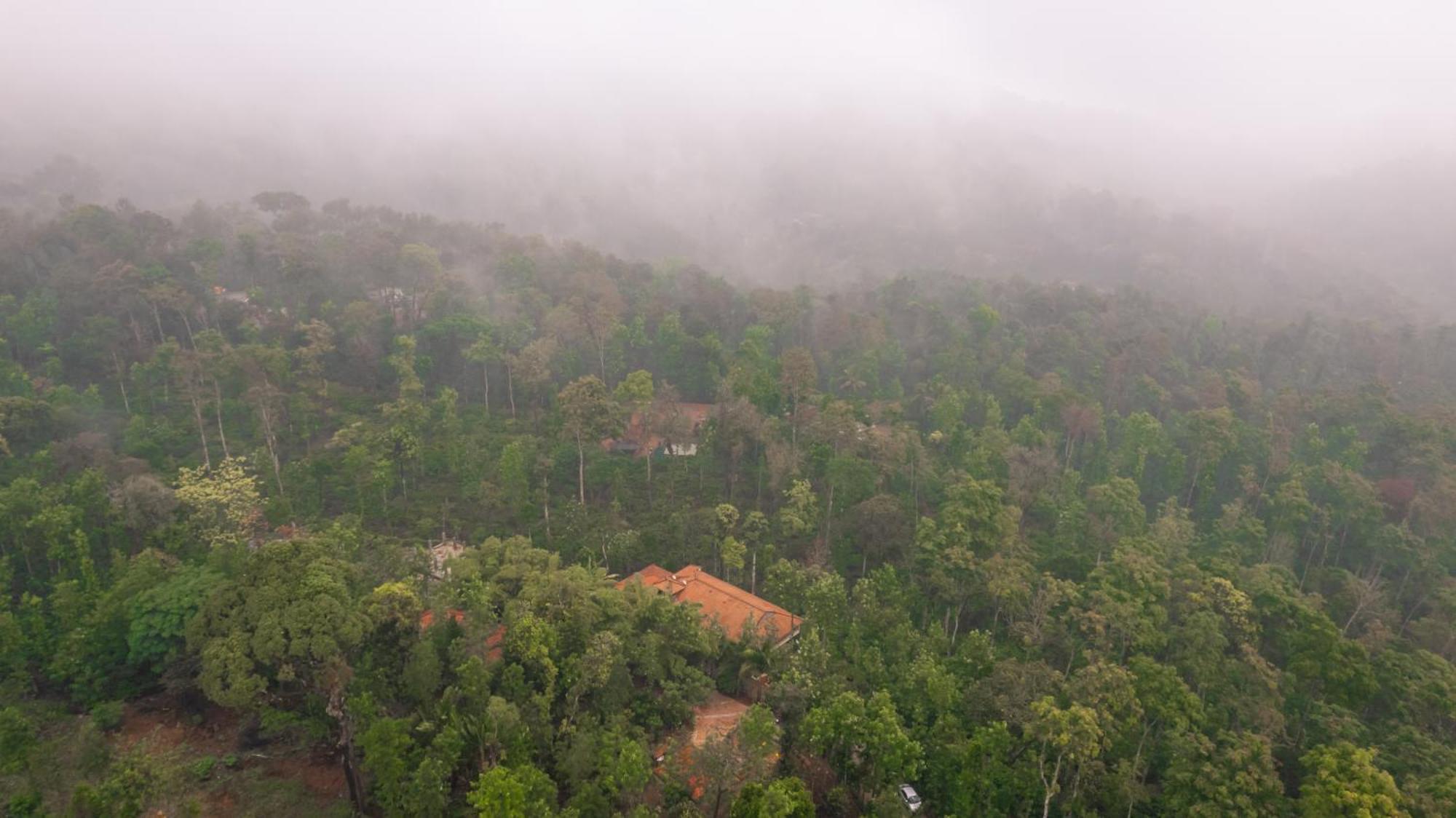 Kingmaker'S Plantation With River Stream 马迪凯里 外观 照片