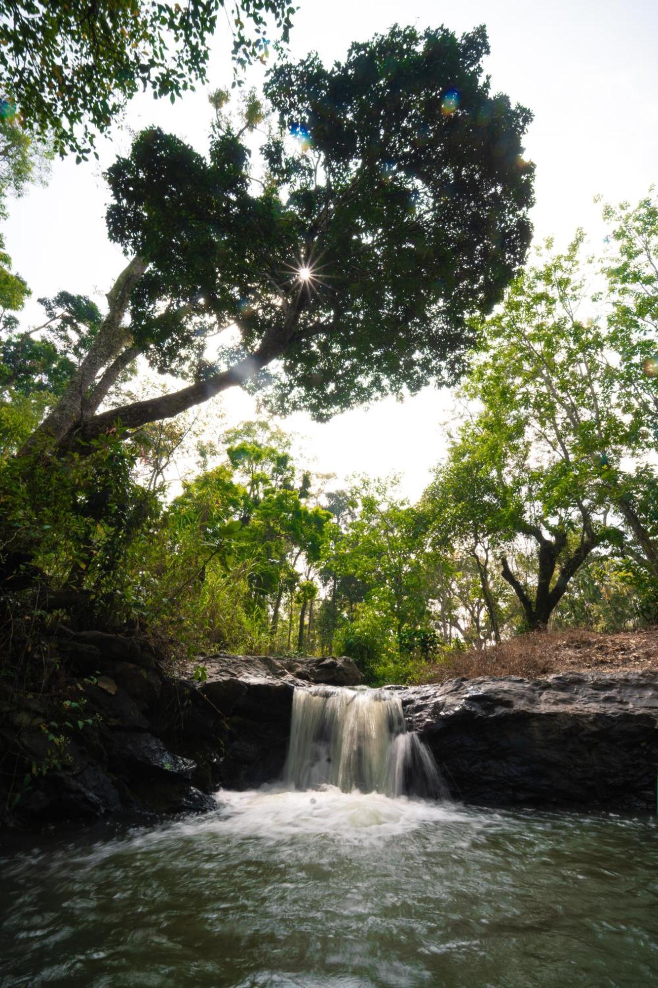 Kingmaker'S Plantation With River Stream 马迪凯里 外观 照片