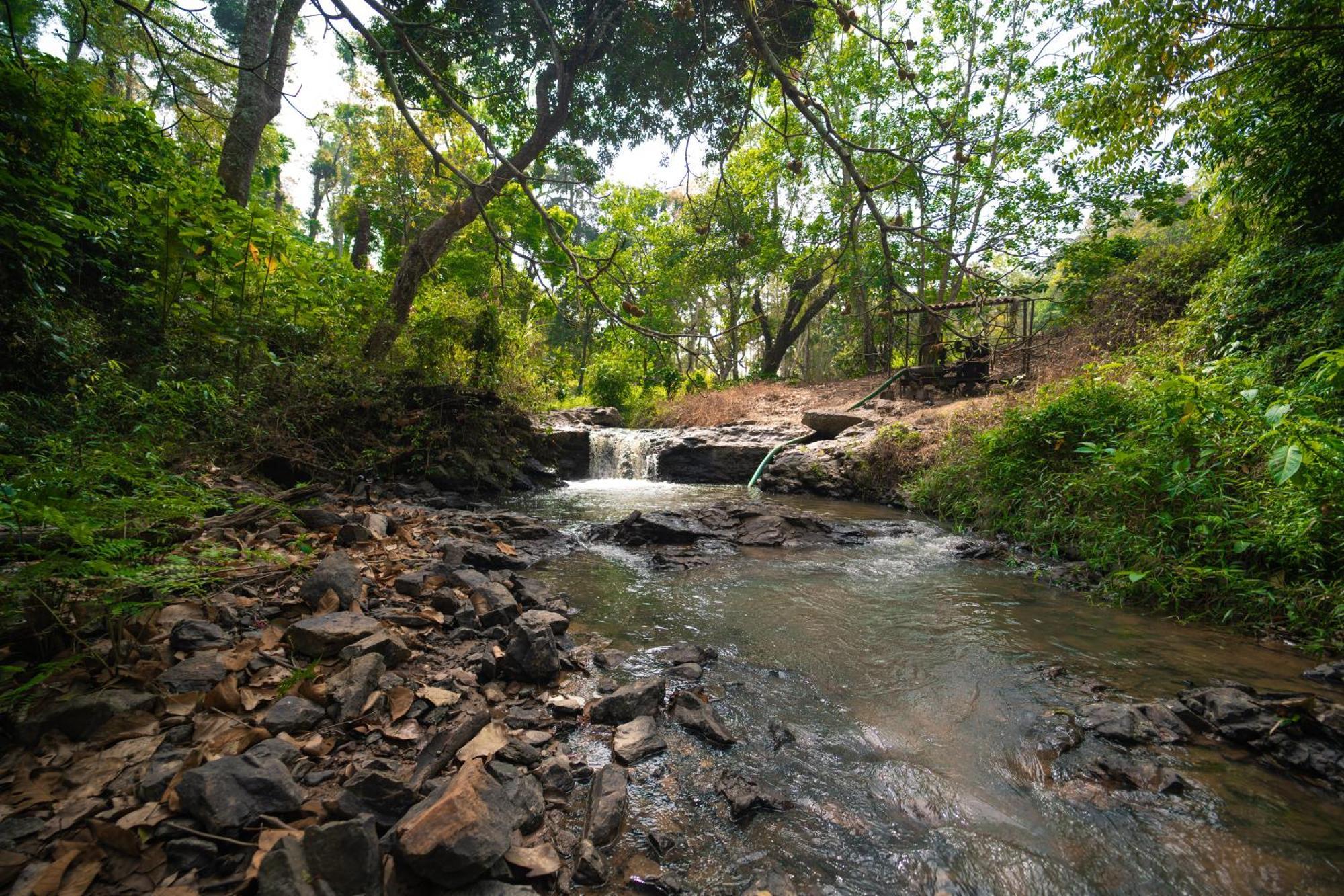 马迪凯里Kingmaker'S Plantation With River Stream别墅 外观 照片